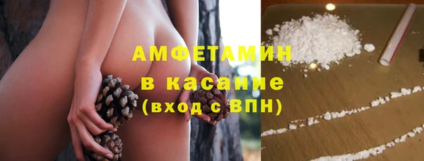метадон Гусь-Хрустальный