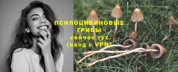 a pvp Гусев