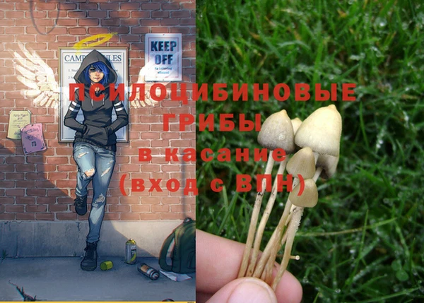 марки lsd Дмитров