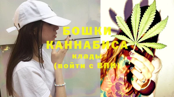 тгк Гусиноозёрск