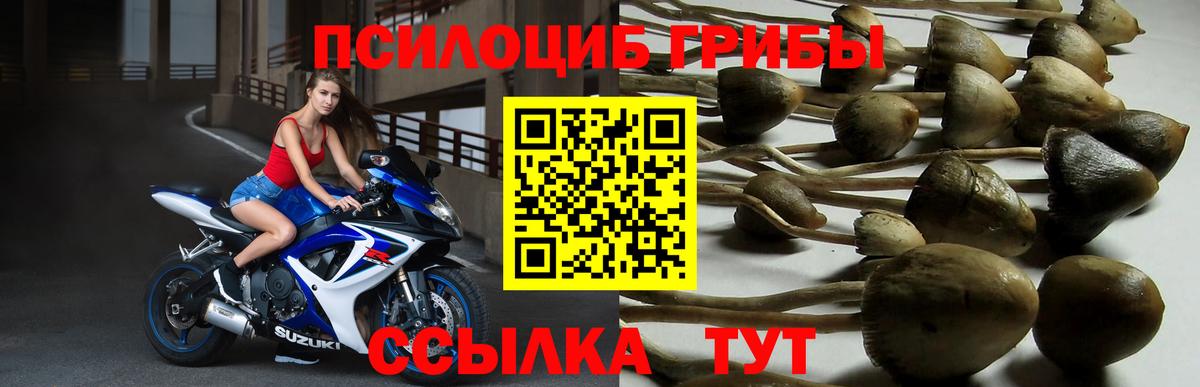 Псилоцибиновые грибы ЛСД Железноводск