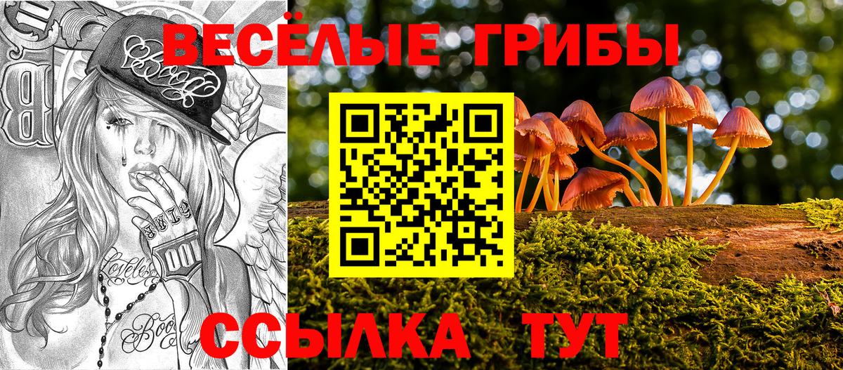 Псилоцибиновые грибы Psilocybe Железноводск